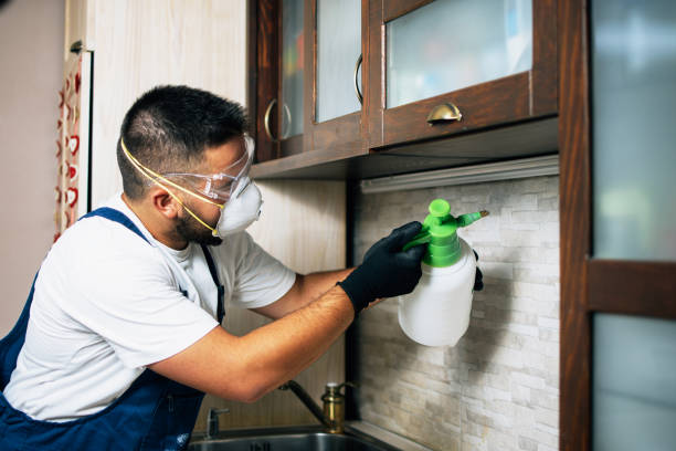 Best Residential Pest Control  in Steilacoom, WA