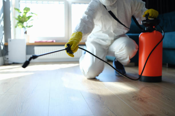 Trusted Steilacoom, WA Pest Control Experts