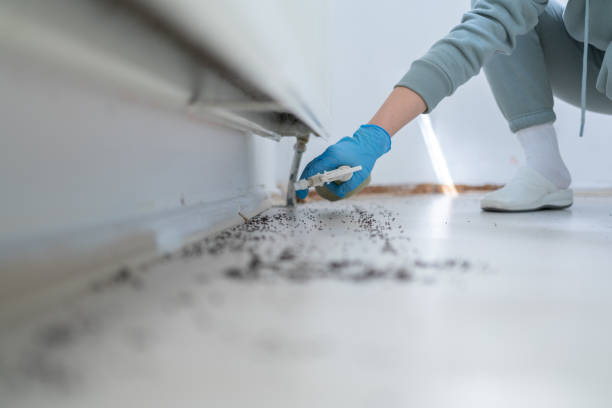 Insect Control in Steilacoom, WA